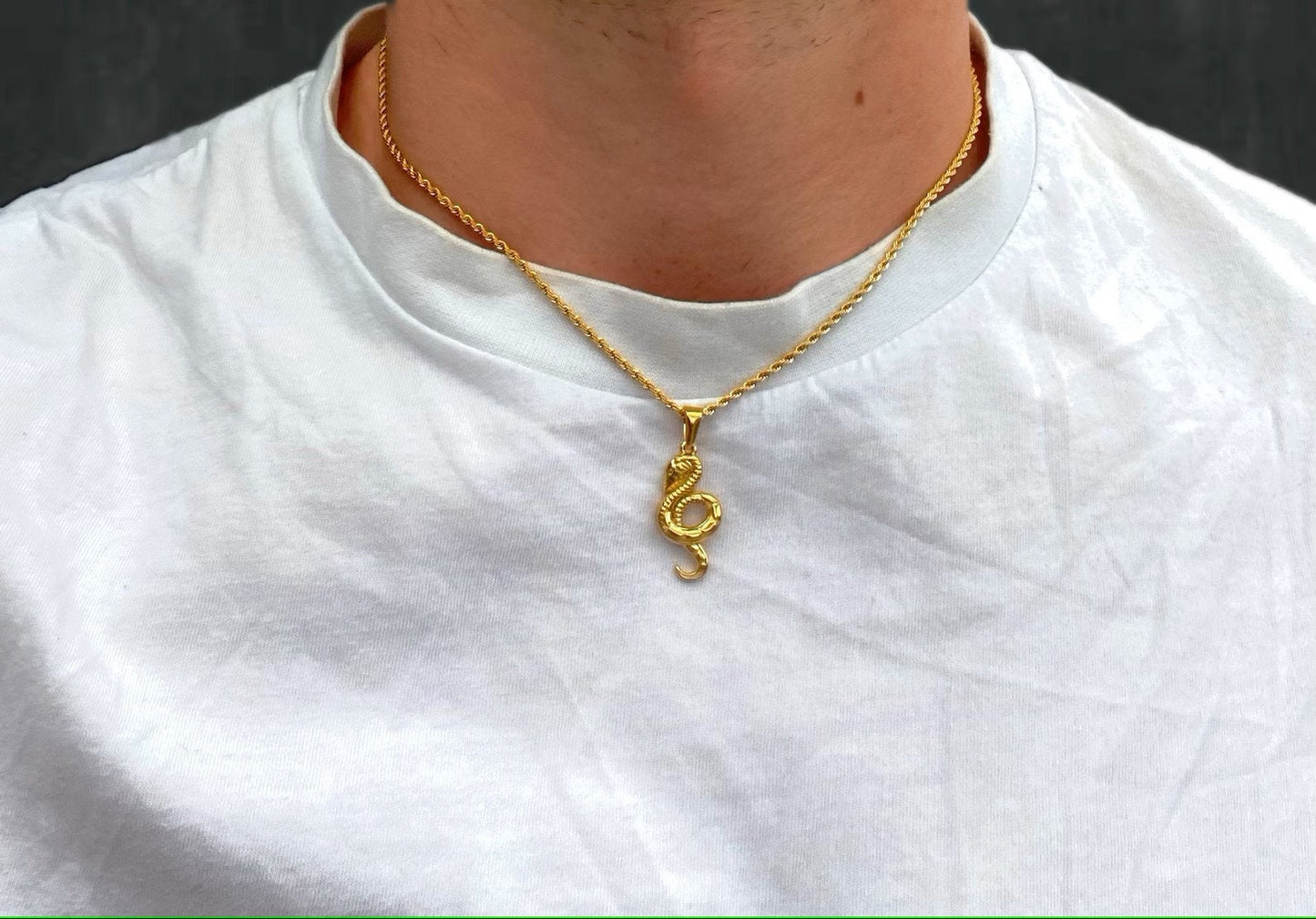 Schlangen Kette